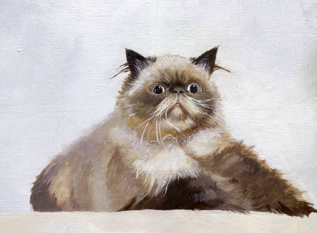 王允營-咪咪冒冒