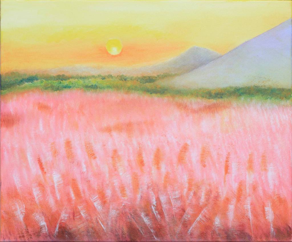 沈英英-粉黛亂子草