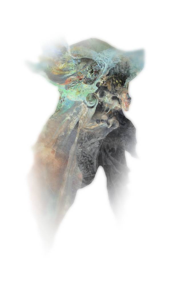 陳偉斌-work S: 25 (數位版畫)