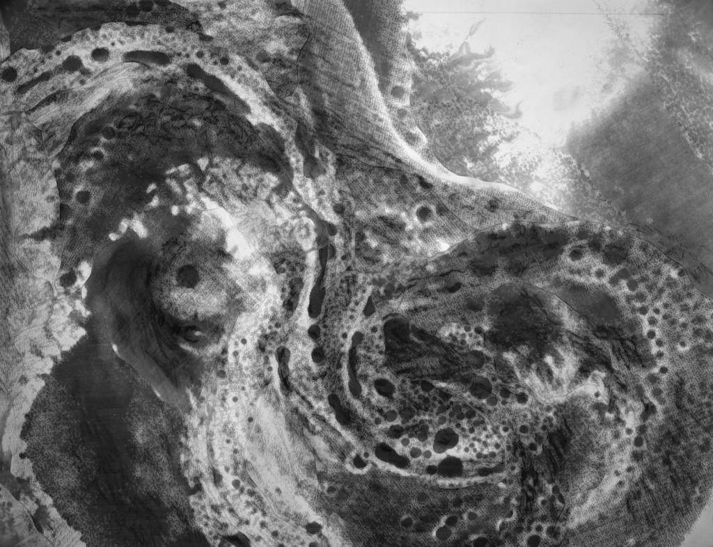 陳偉斌-life 12  (數位版畫)