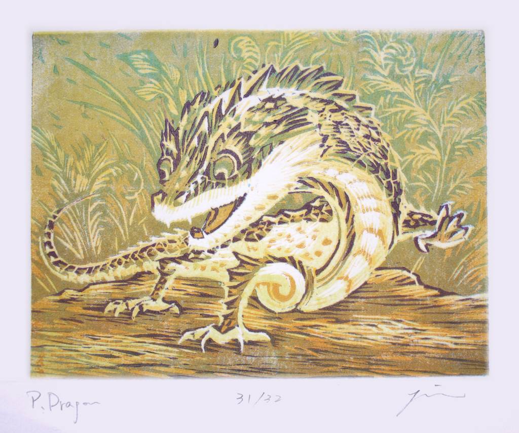 陳偉斌-單版複刻 黃口攀龍