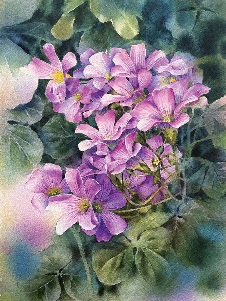 江祐維-紫蝶尋夢