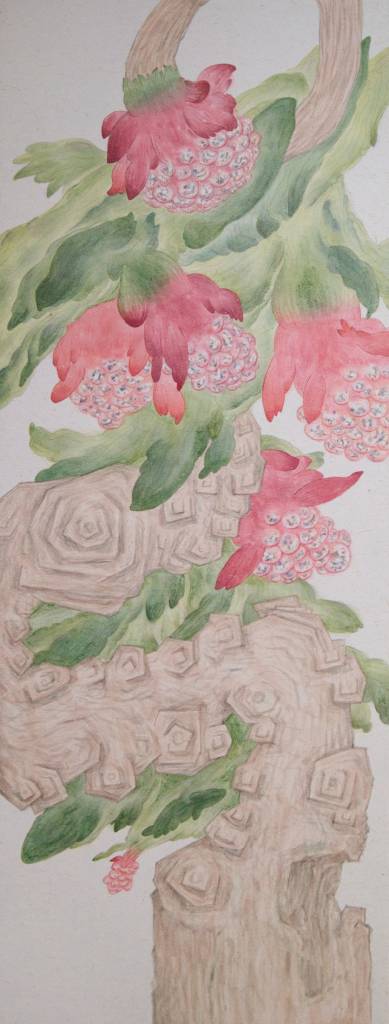 陳姿妤-卵果 / Ovipositor Fruits