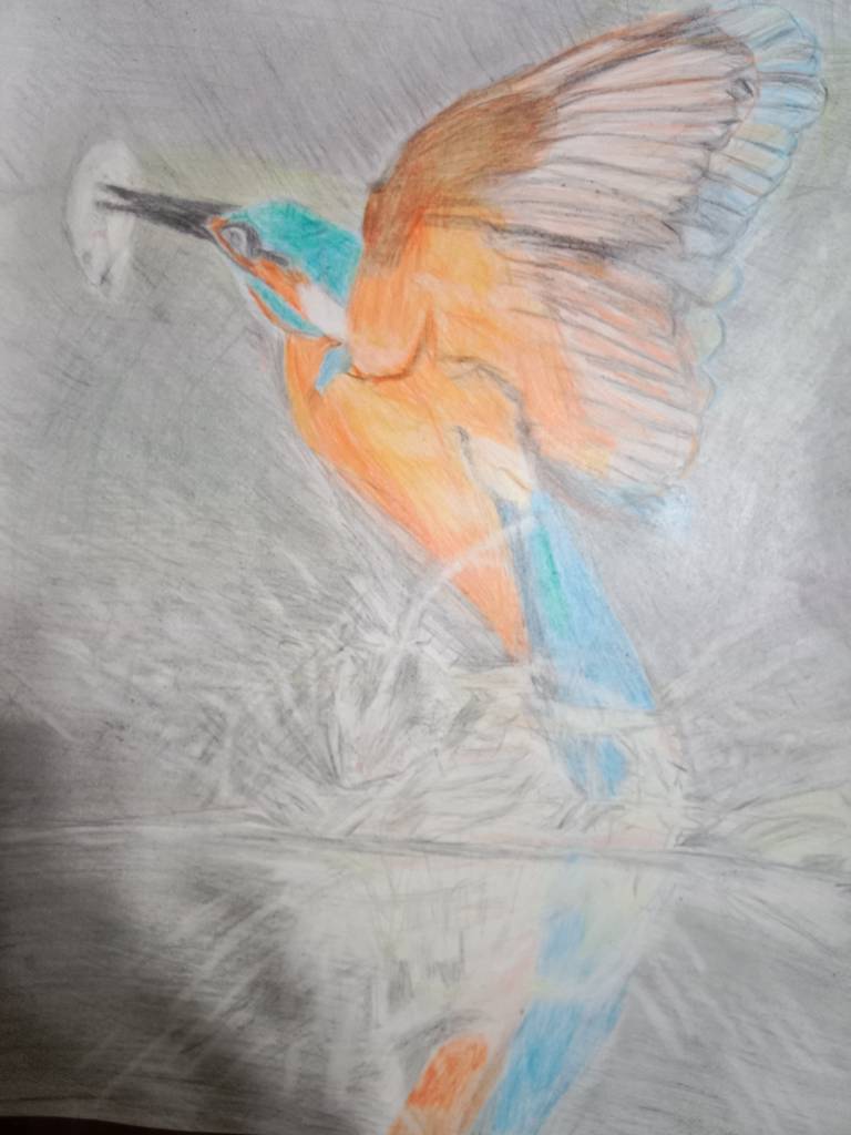 劉效文-翠鳥捕魚出水