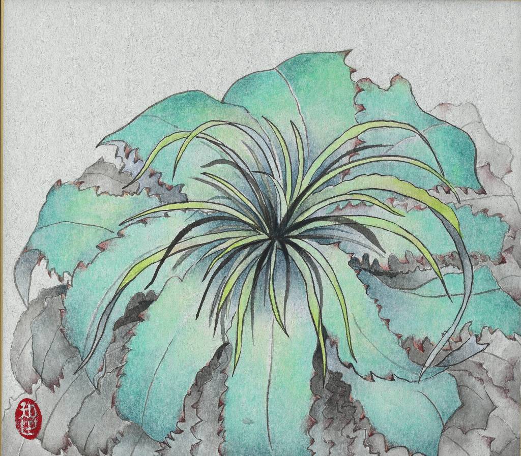 劉詩萍-銀葉鳳梨