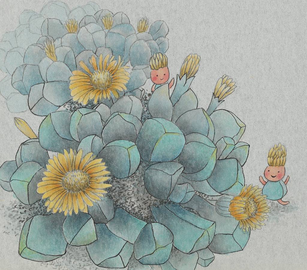 劉詩萍-石上的小萌黃