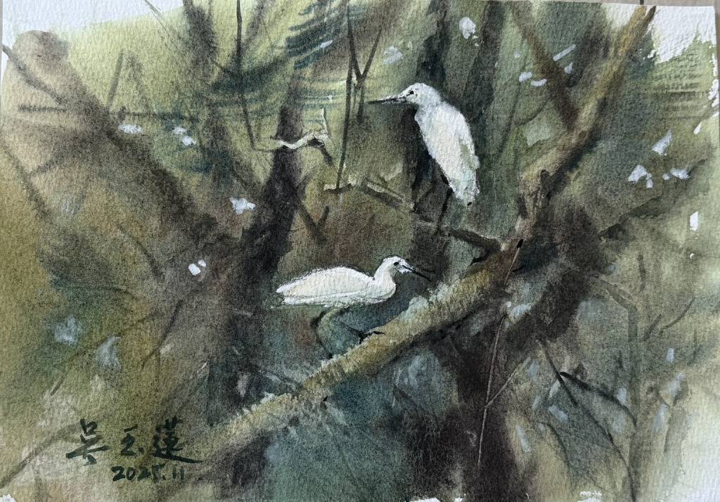 吳玉蓮-白鷺鷥