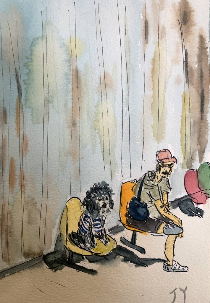 楊約翰-與小狗在等咖啡