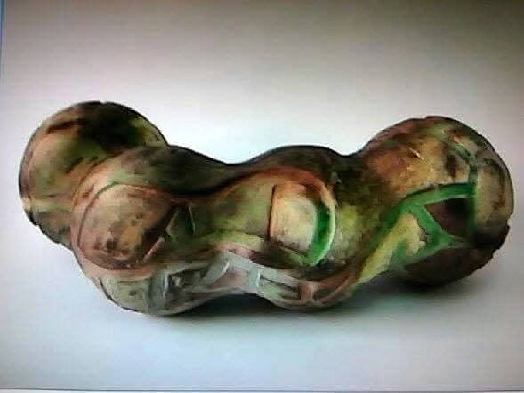 蔡文龍-《曲線的臨界》 The Threshold of Curvature--作為城市遮閉結構的感知模型  