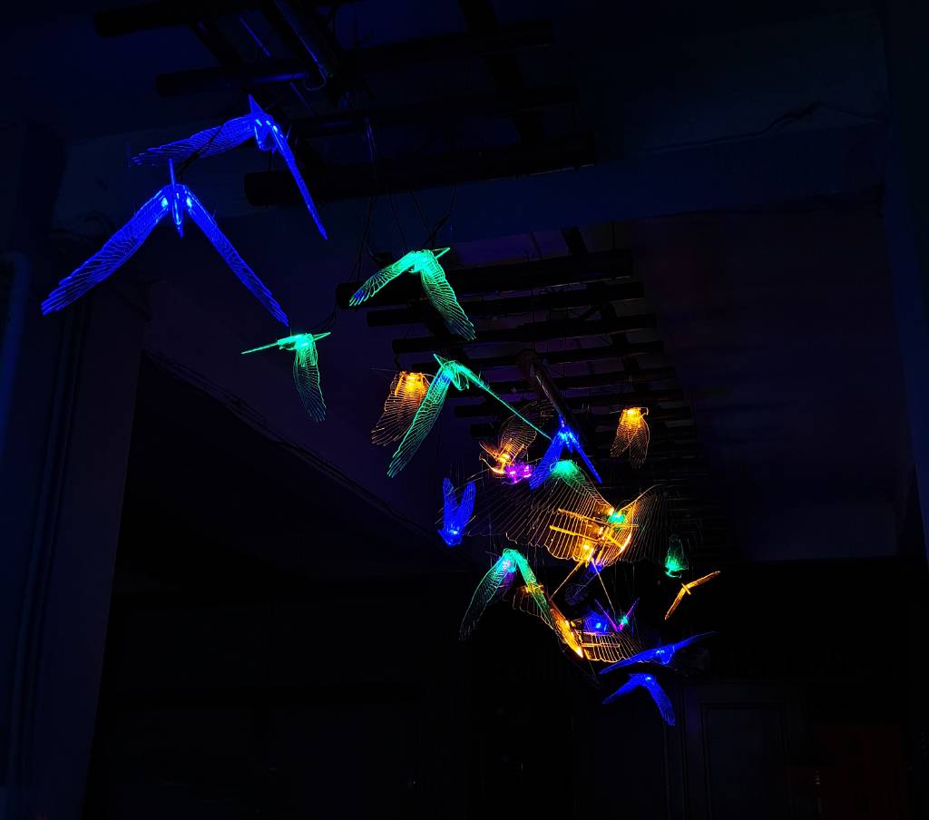 靖傑-鳥瞰空山 Beyond the Horizon