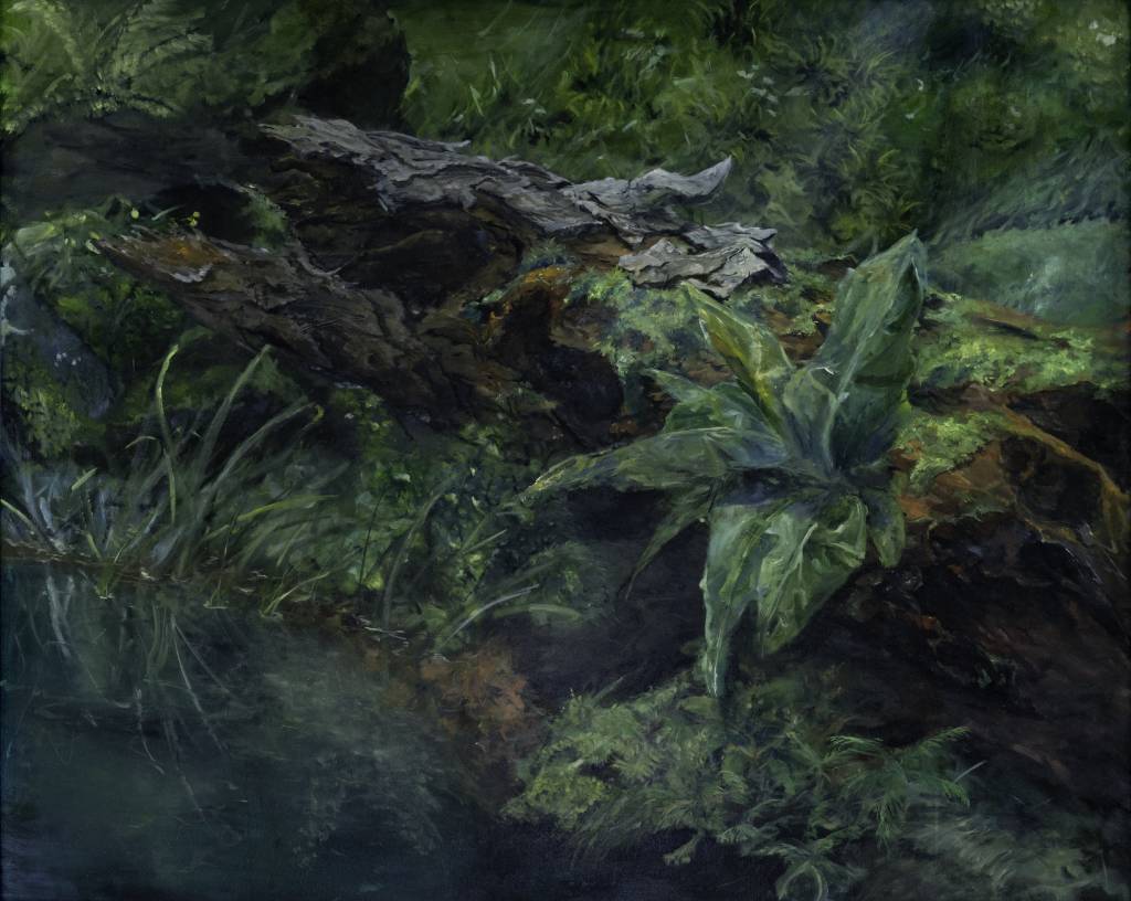 賴敬豪-森林-新生