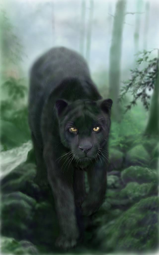 方可成-叢林深處的凝望