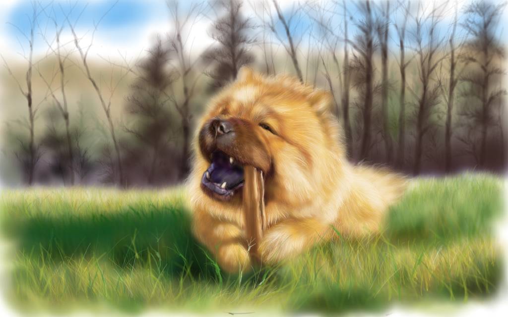 方可成-悠閒時光