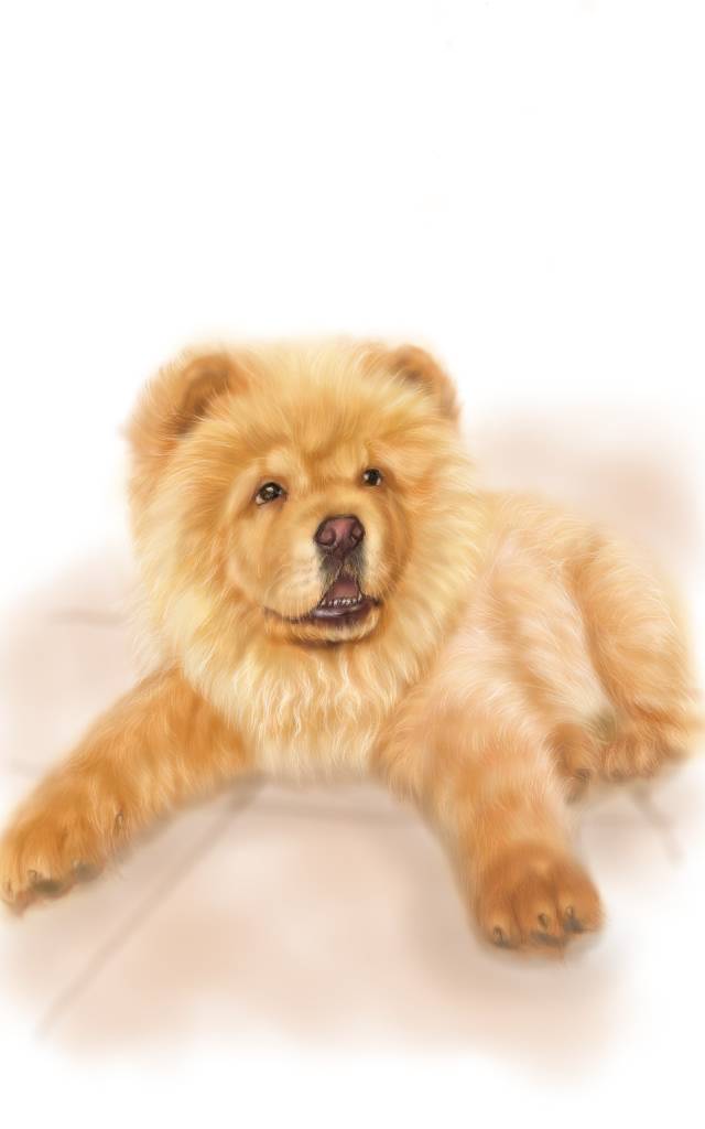 方可成-絨毛的細語