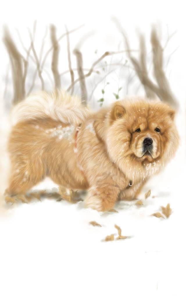 方可成-冬日守護者