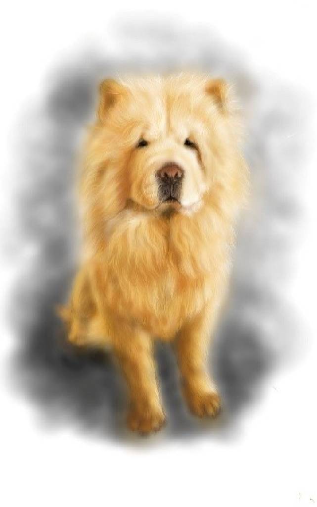 方可成-冬日的暖陽