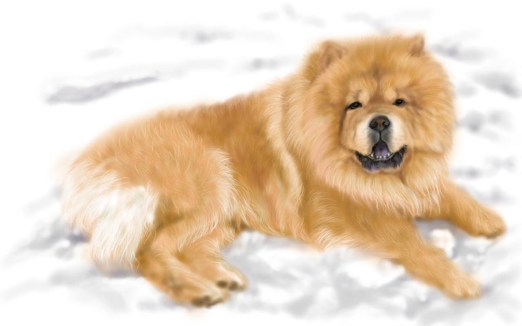 方可成-雪地之王