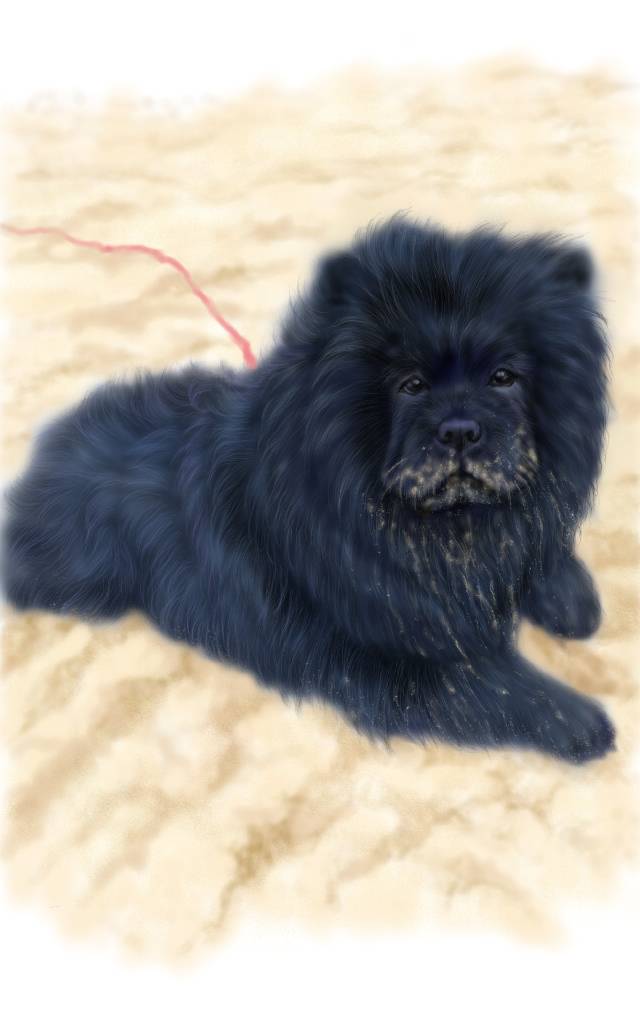 方可成-黑曜騎士