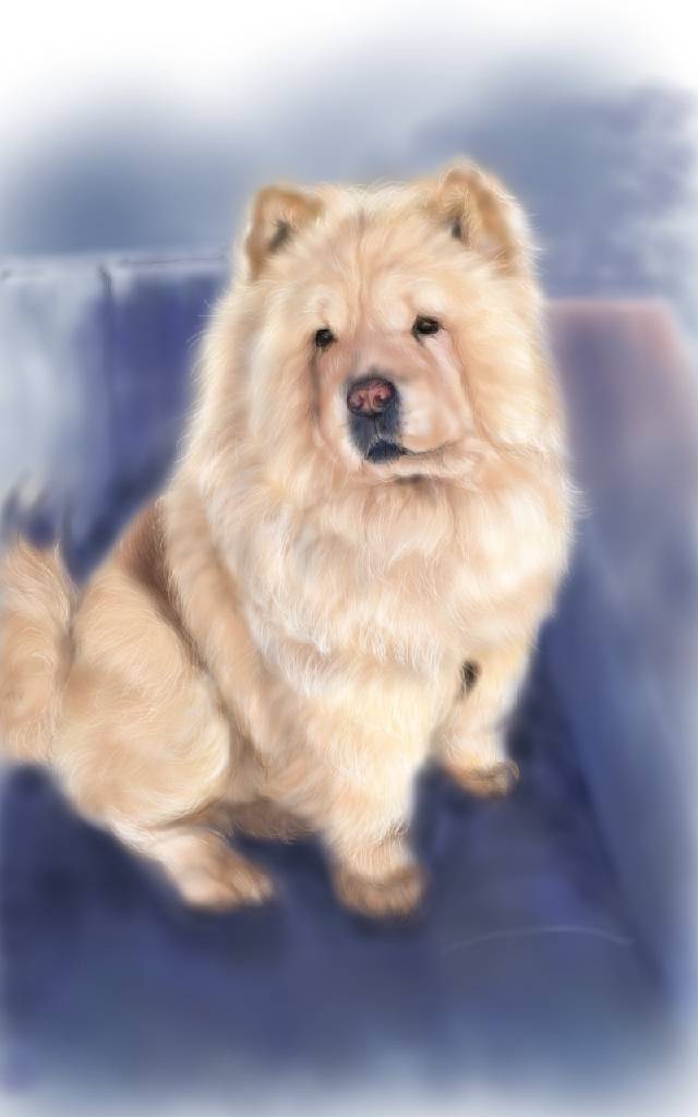 方可成-靜謐的王者