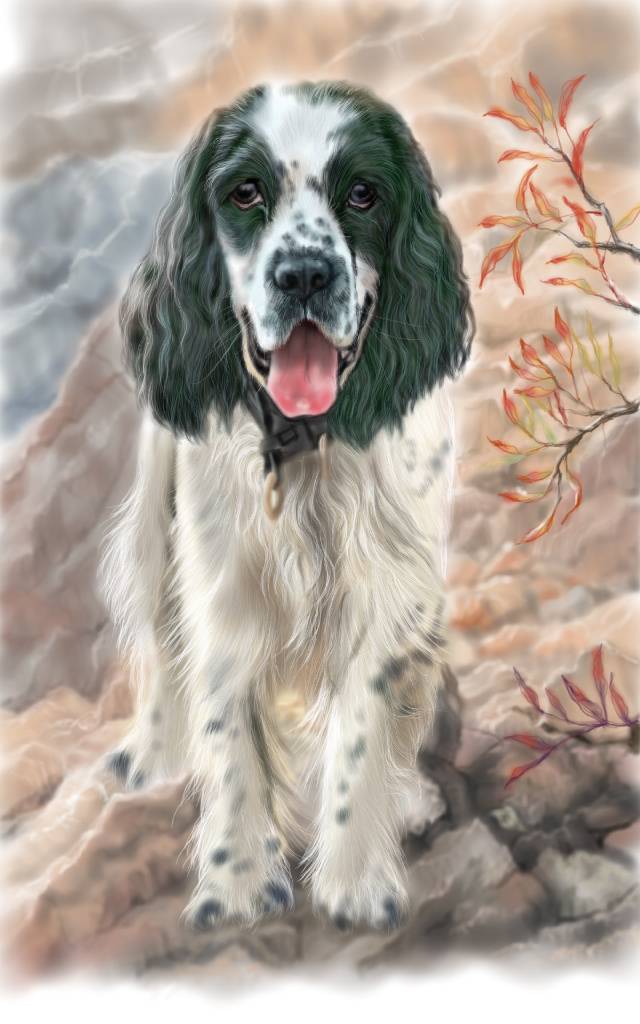 方可成-山野之心