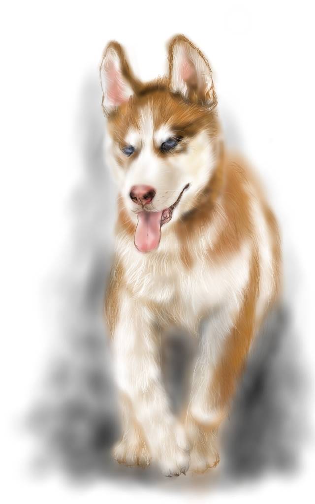 方可成-馳風之魂