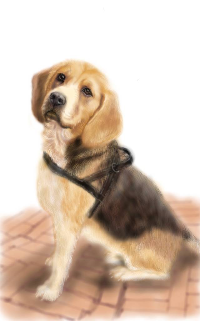 方可成-忠誠的等待