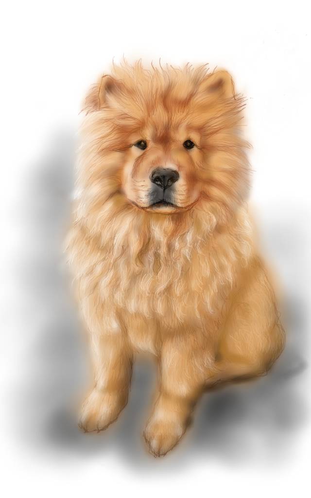 方可成-純真守護者