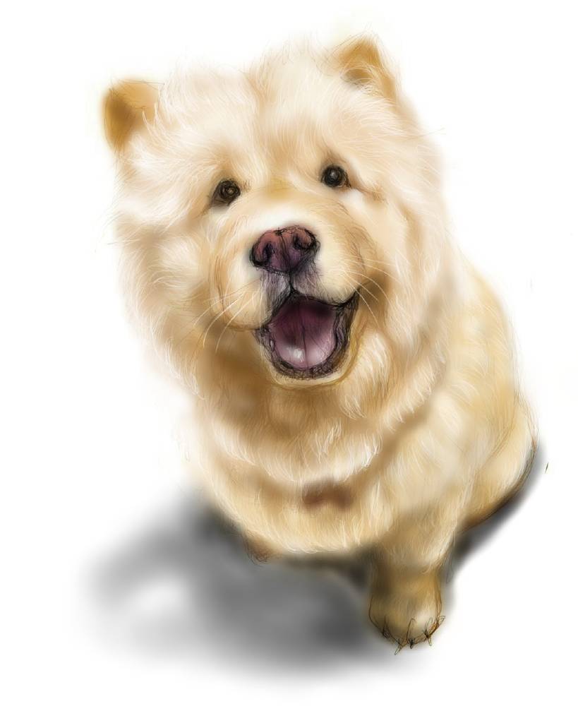 方可成-暖心微笑