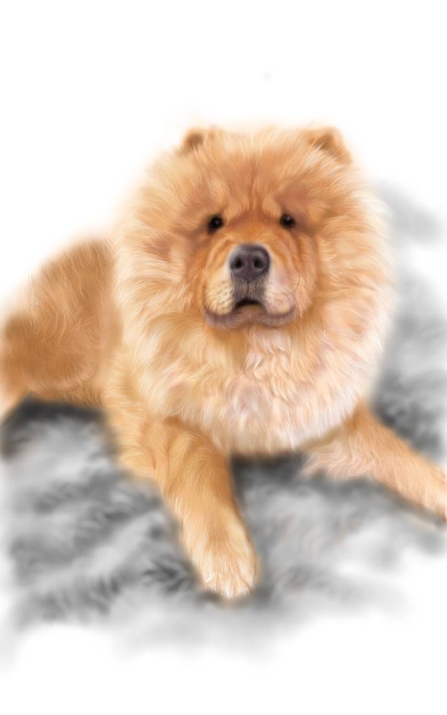 方可成-沉穩之境