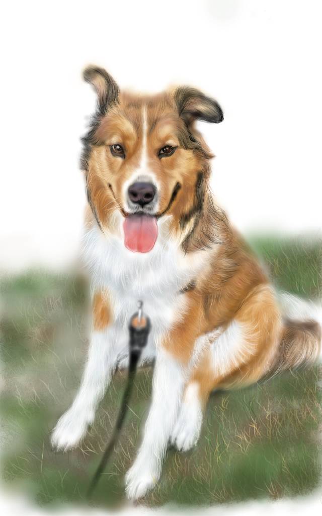 方可成-忠誠的微笑