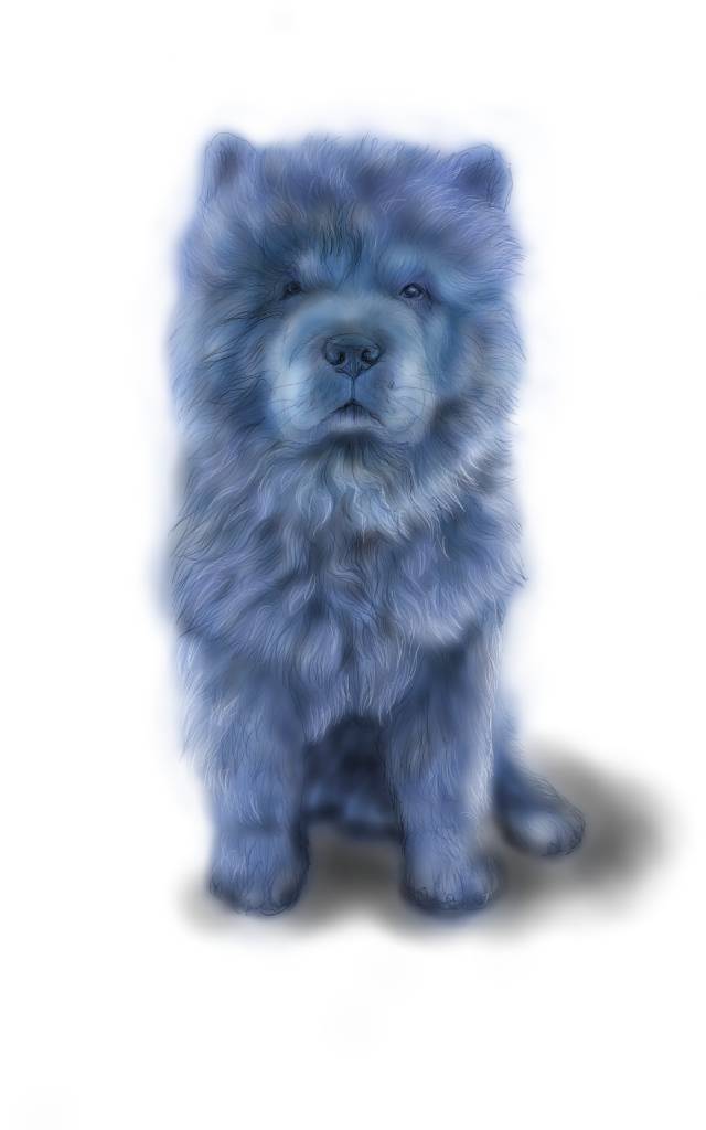 方可成-神秘藍魂