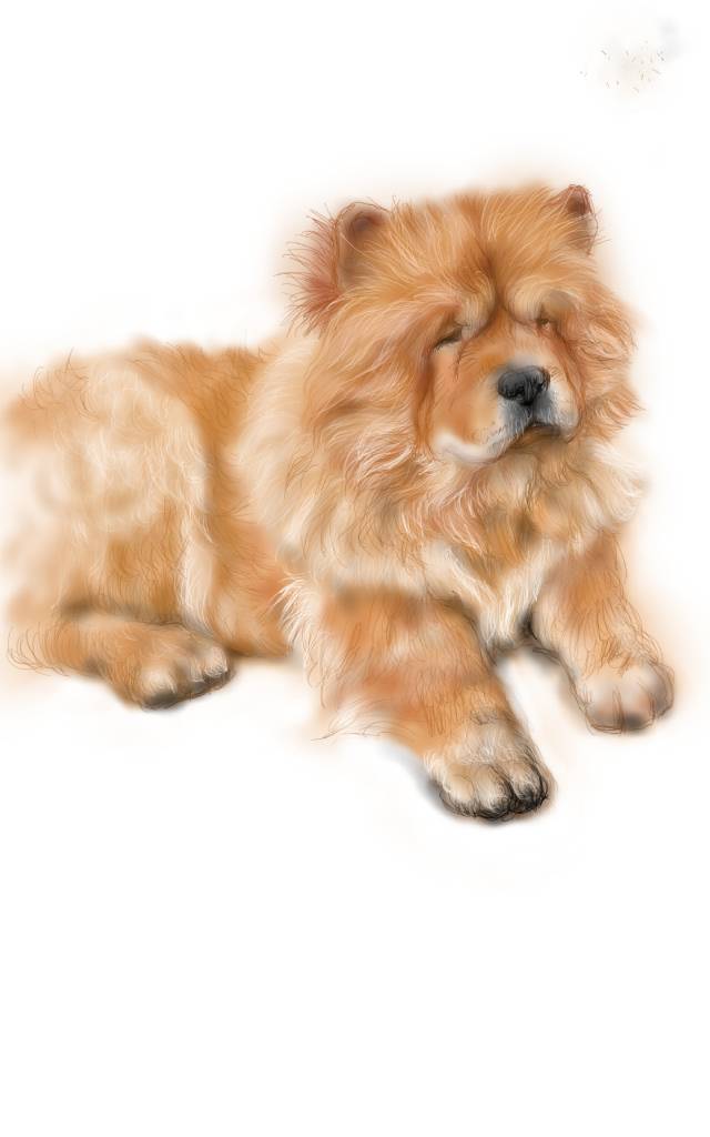 方可成-金色夢想