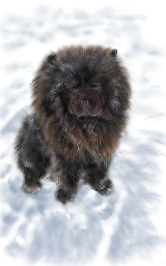 方可成-孤傲之心