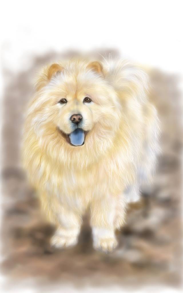 方可成-幸福的凝視