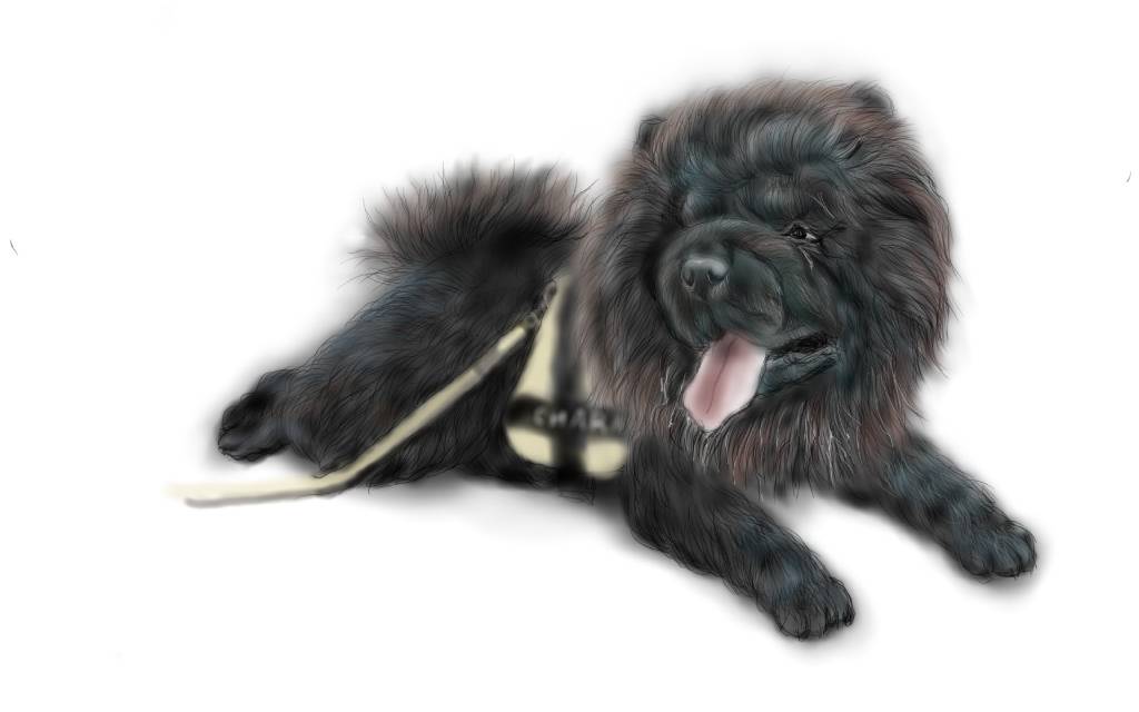 方可成-黑曜之心