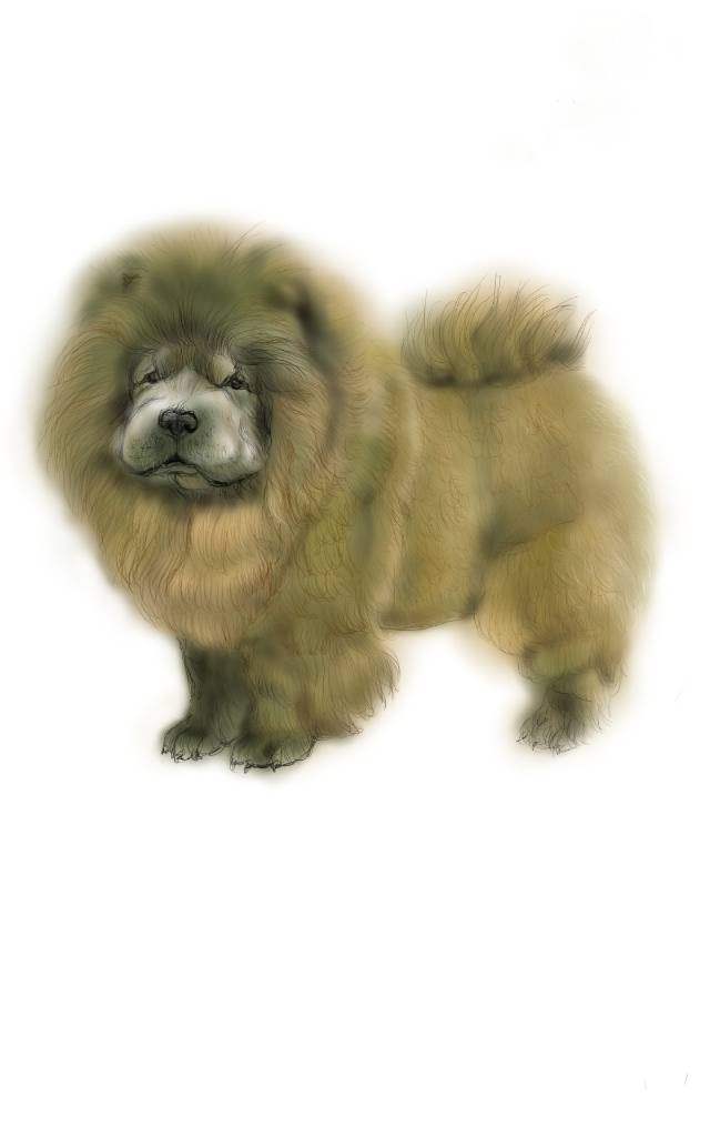 方可成-貴族獅王