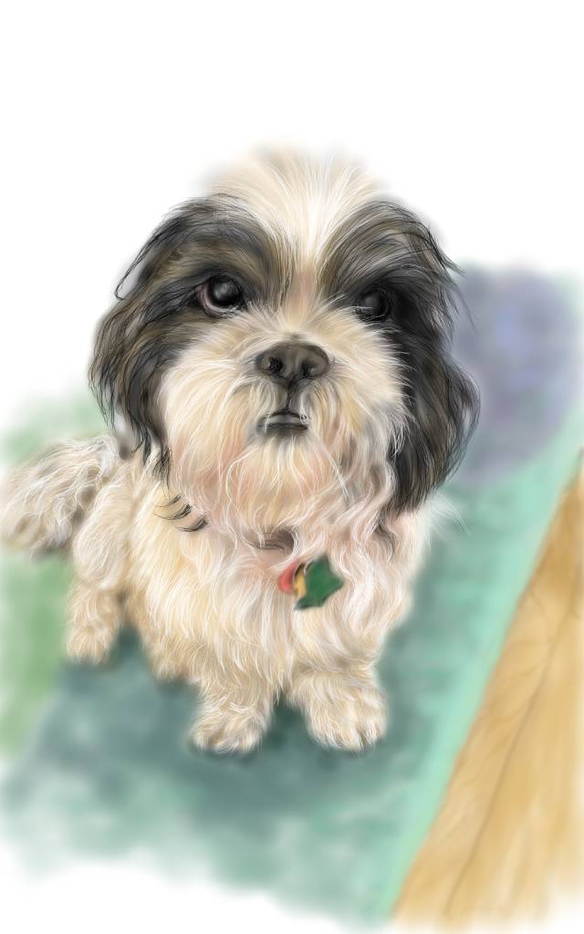 方可成-溫柔凝視