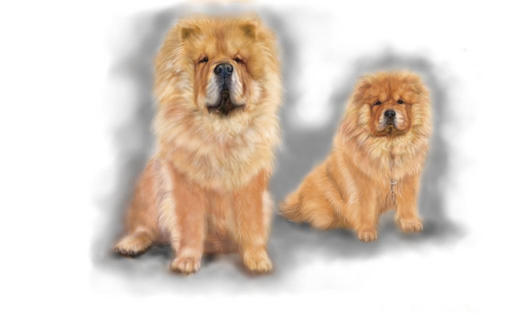 方可成-王者與傳承