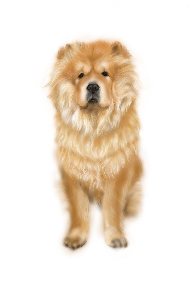 方可成-沉穩的守護者