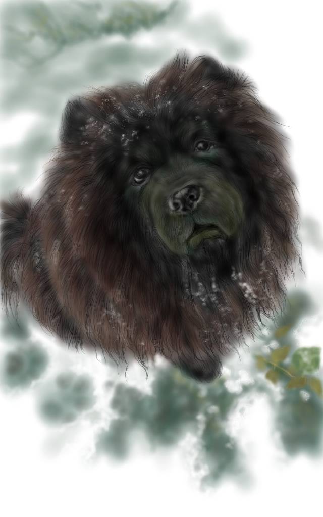 方可成-黑曜守望