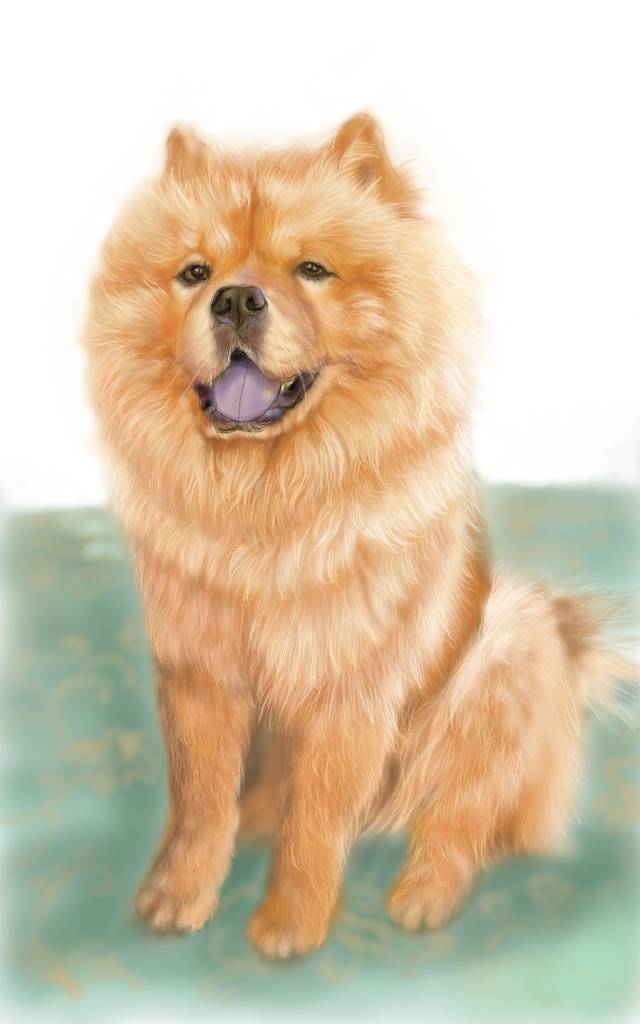 方可成-暖陽微笑