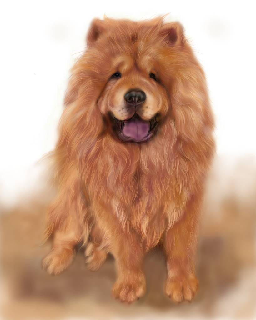 方可成-陽光之瞳