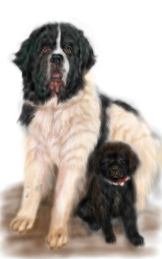 方可成-心靈相依