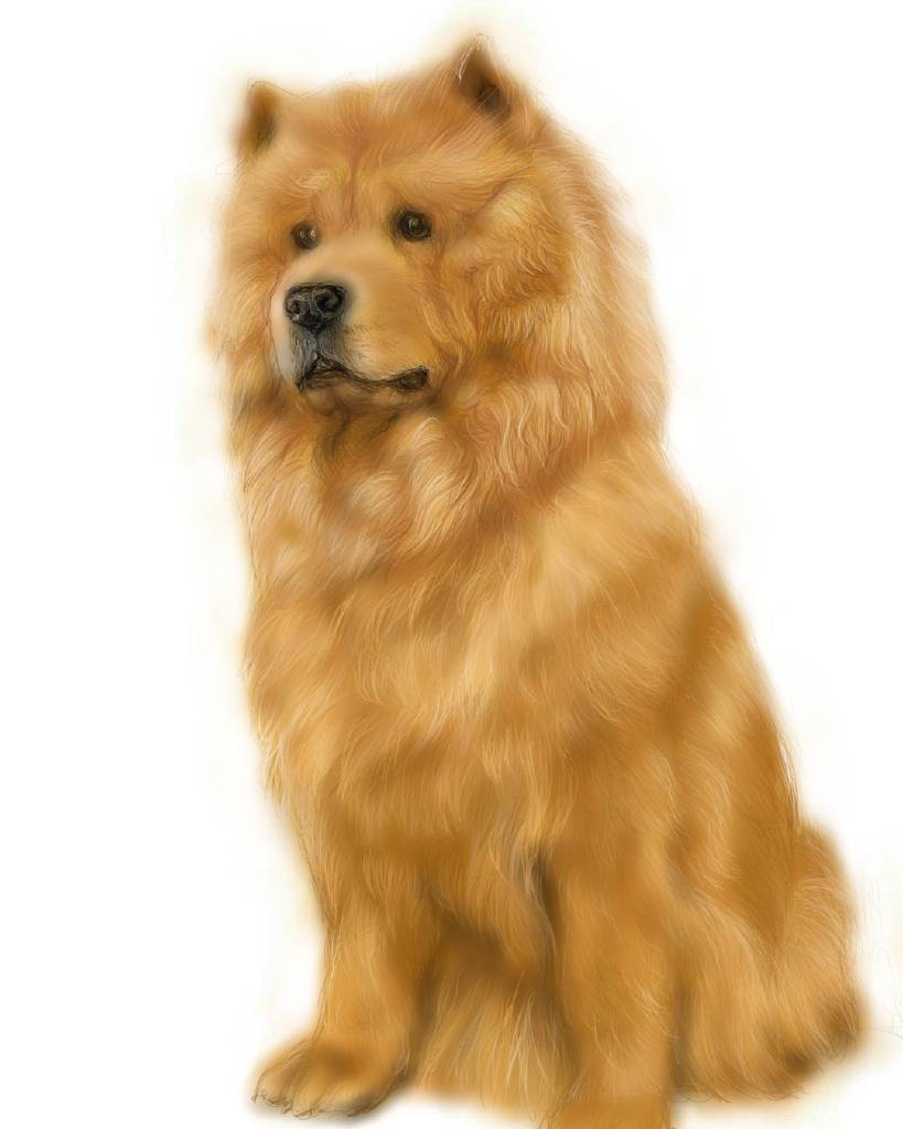 方可成-棕韻凝視