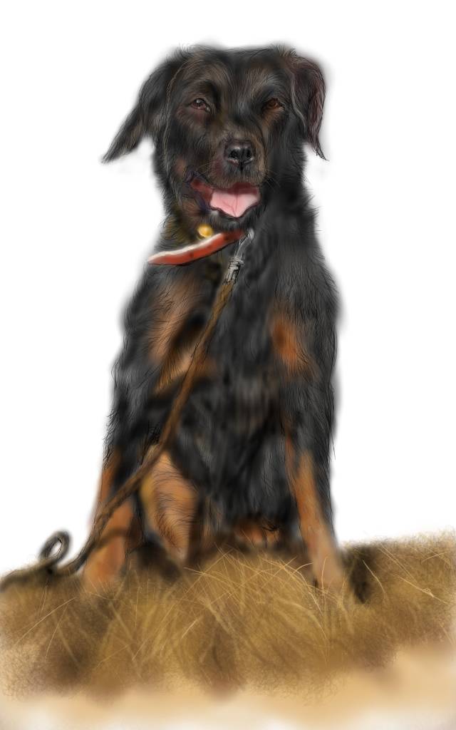 方可成-黃野凝眸·棕足之韻