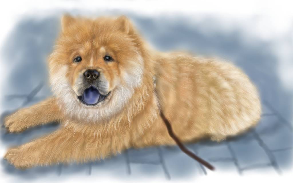 方可成-溫眸淺憩