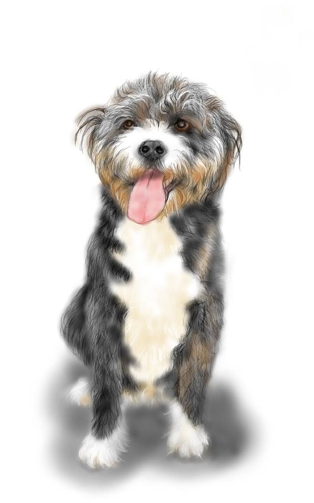 方可成-華影雪足