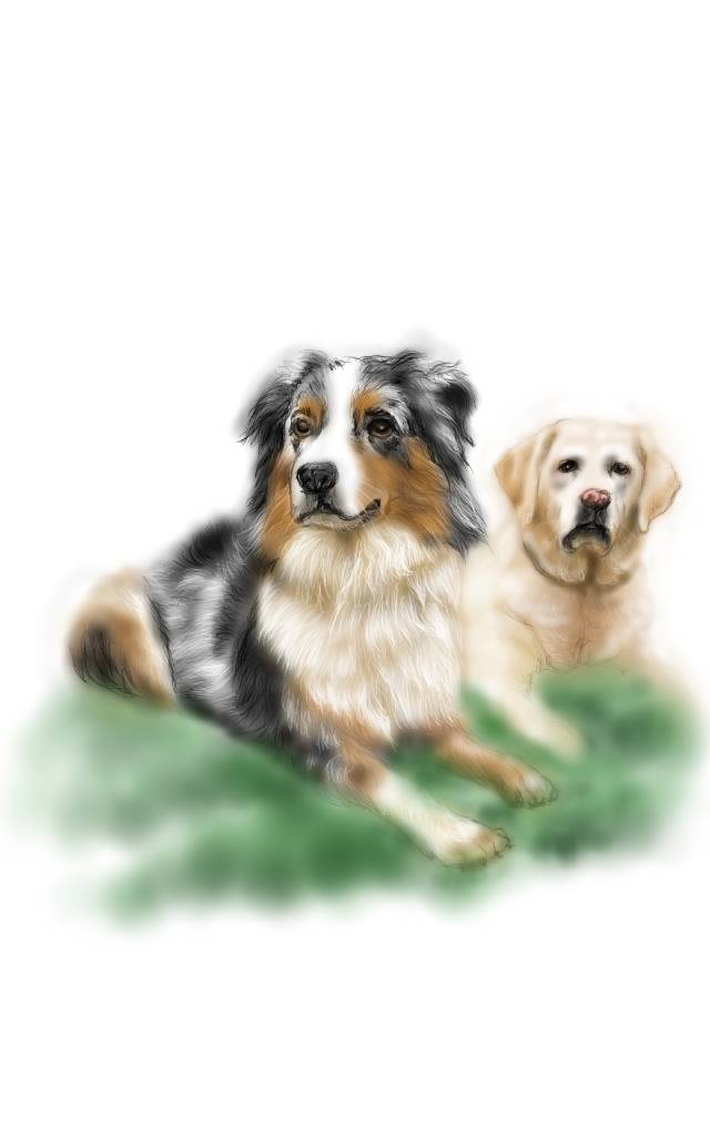 方可成-黑白絮語