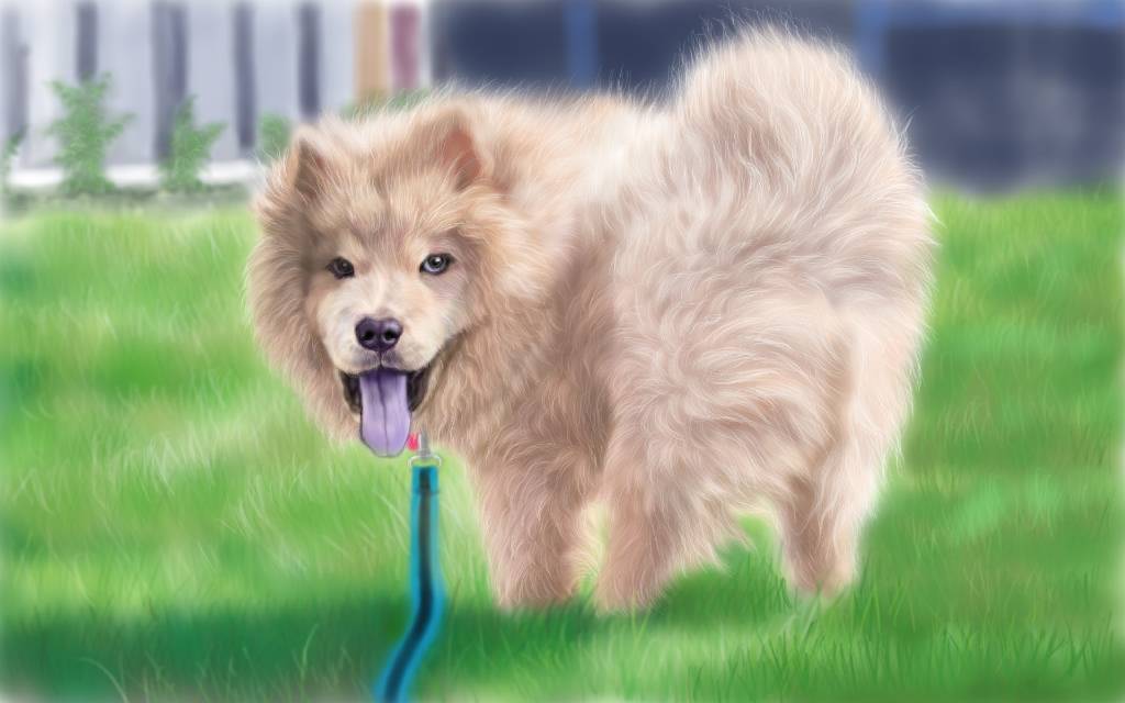 方可成-雪影迴眸