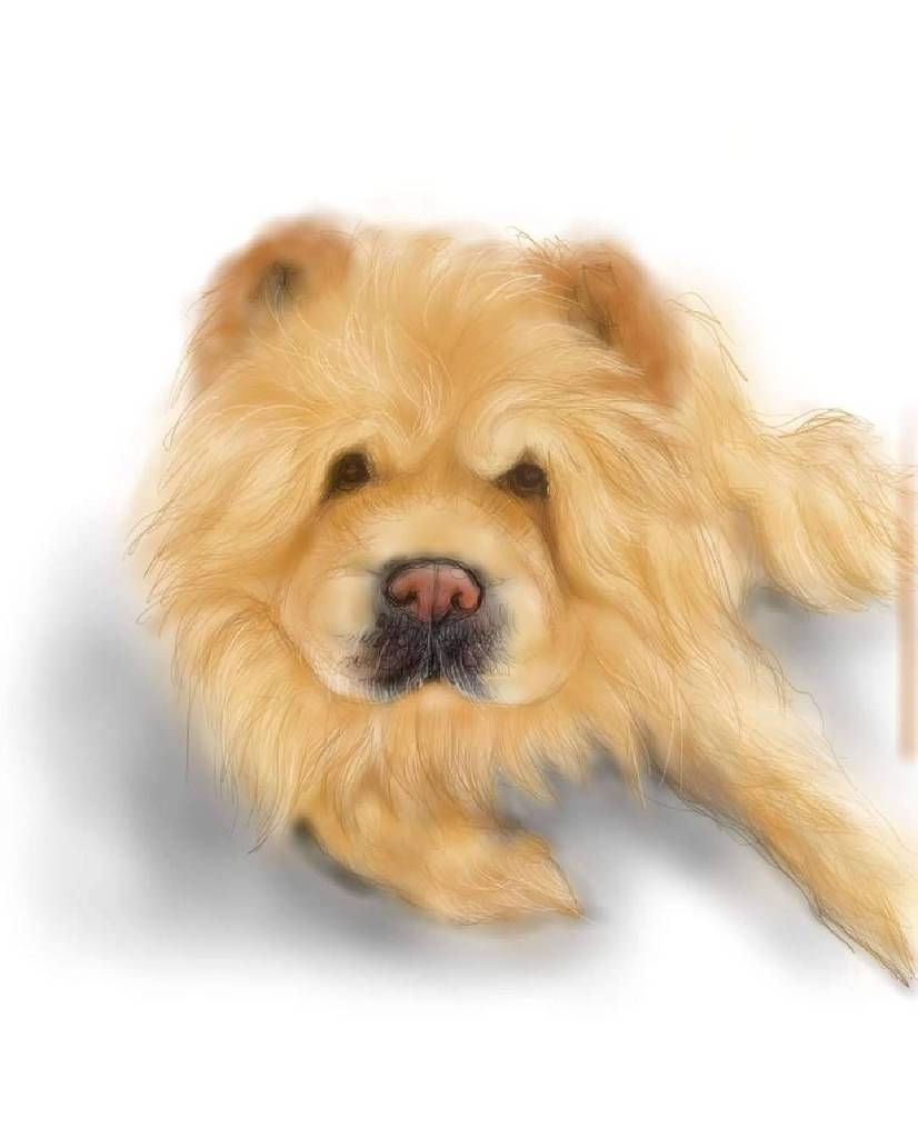 方可成-柔影斜伸